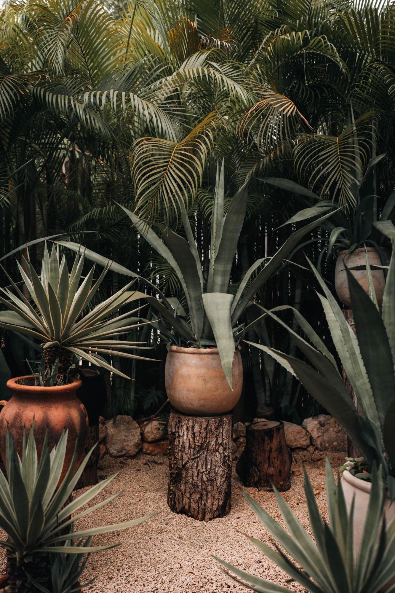 Hotel Bardo - Adults Only Tulum Exterior foto